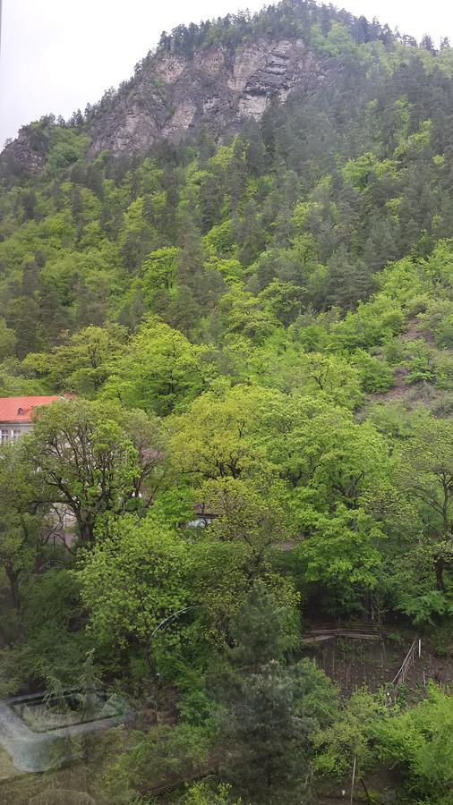 Mariko Otel Borjomi Dış mekan fotoğraf